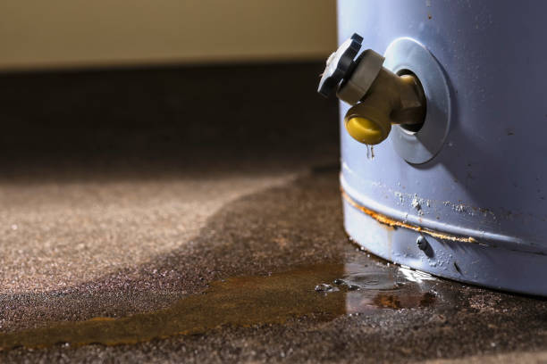 Best 24-hour water damage restoration  in Laconia, NH