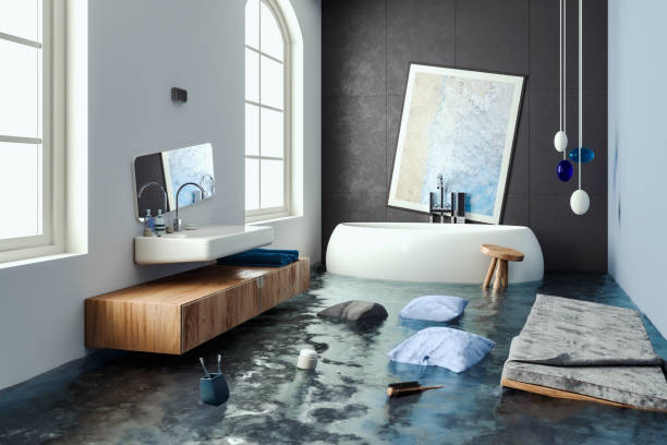 Best Carpet water damage restoration  in Laconia, NH