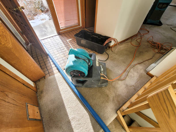 Best Flood restoration services  in Laconia, NH