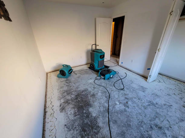 Carpet water damage restoration in NH