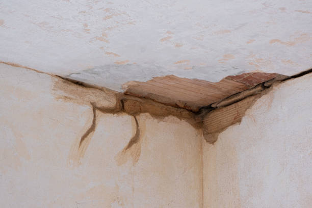 Best Fire Damage Restoration  in Laconia, NH