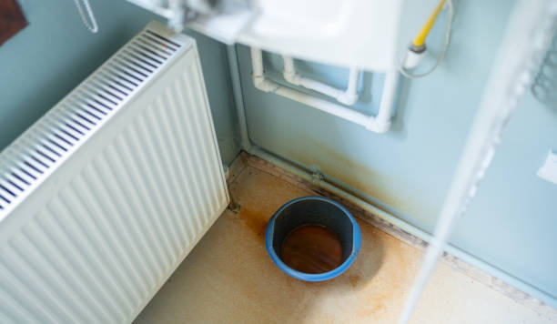 Best Mold removal after water damage  in Laconia, NH