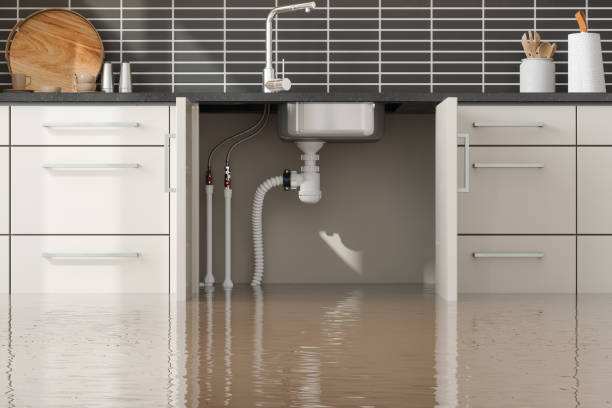 Best Water damage restoration company  in Laconia, NH